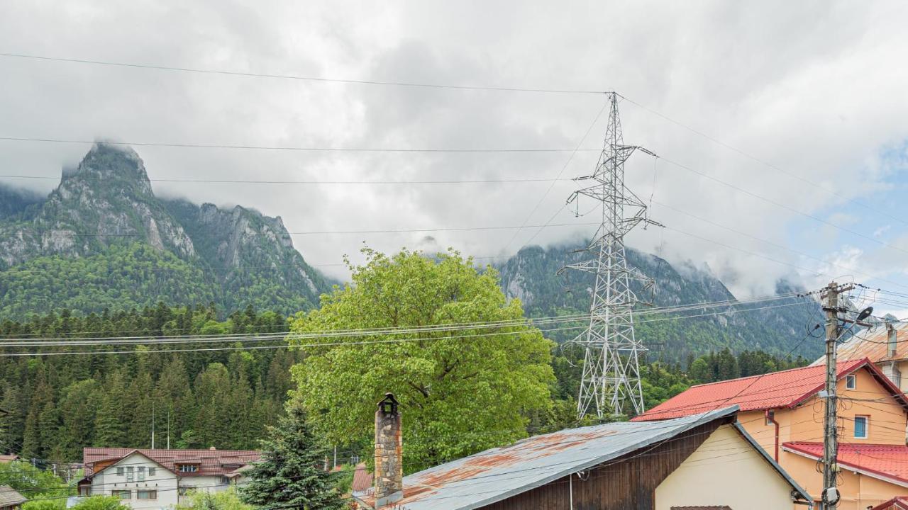 Casa Zura Hotell Buşteni Exteriör bild